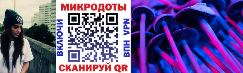 Купить  Дно  Псилоцибиновые грибы MAGIC MUSHROOMS 